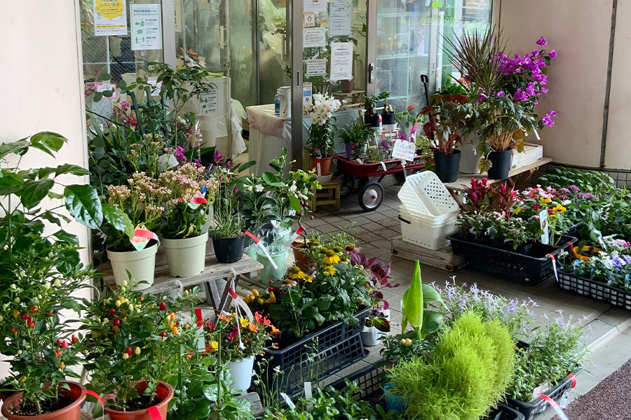 Bel Fiore(ベル・フィオーレ)五反野駅前店